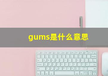 gums是什么意思