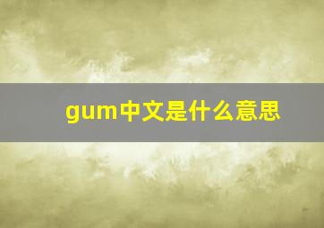 gum中文是什么意思