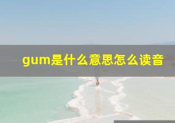 gum是什么意思怎么读音