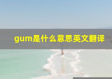 gum是什么意思英文翻译