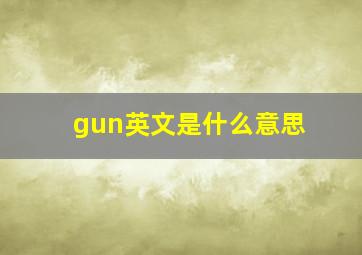 gun英文是什么意思