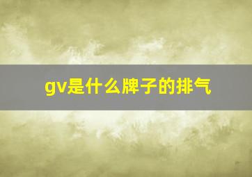 gv是什么牌子的排气