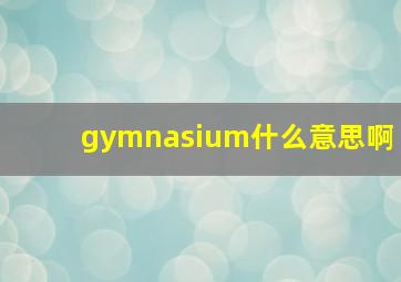 gymnasium什么意思啊