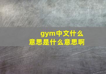 gym中文什么意思是什么意思啊