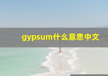 gypsum什么意思中文