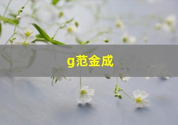 g范金成