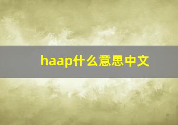 haap什么意思中文