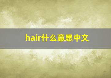 hair什么意思中文