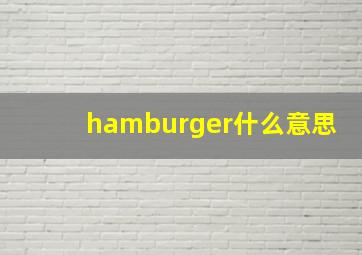 hamburger什么意思