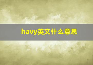 havy英文什么意思