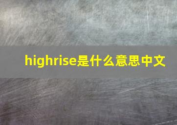 highrise是什么意思中文