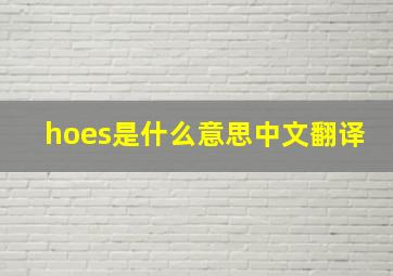 hoes是什么意思中文翻译