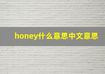 honey什么意思中文意思