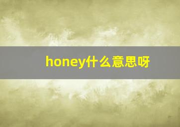 honey什么意思呀