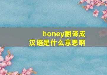 honey翻译成汉语是什么意思啊