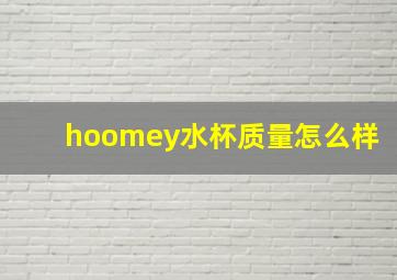 hoomey水杯质量怎么样