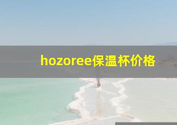 hozoree保温杯价格