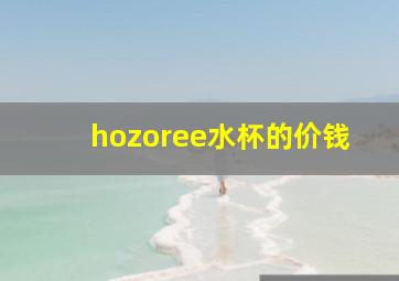 hozoree水杯的价钱