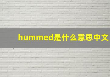 hummed是什么意思中文