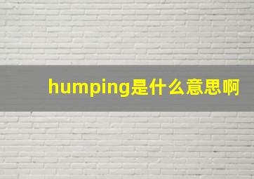 humping是什么意思啊