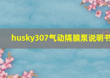 husky307气动隔膜泵说明书