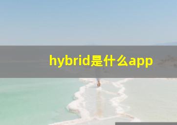 hybrid是什么app