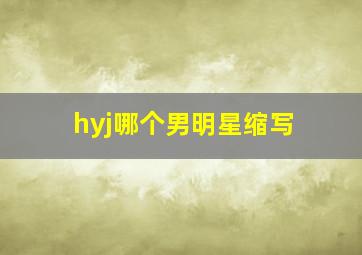 hyj哪个男明星缩写