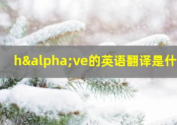 hαve的英语翻译是什么