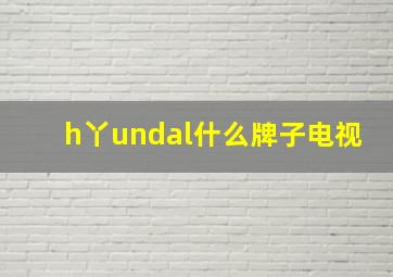 h丫undal什么牌子电视