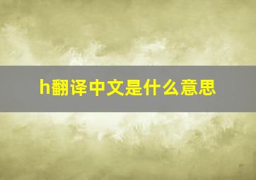 h翻译中文是什么意思