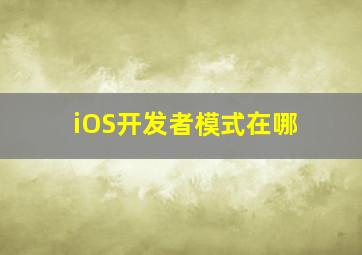 iOS开发者模式在哪