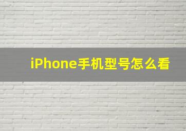 iPhone手机型号怎么看