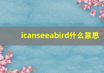 icanseeabird什么意思