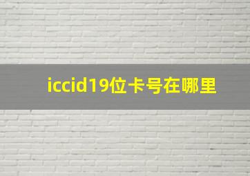 iccid19位卡号在哪里