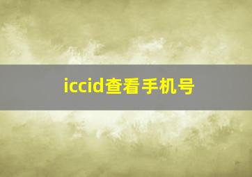 iccid查看手机号