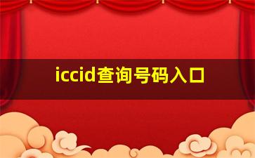 iccid查询号码入口