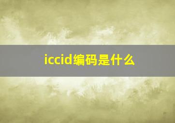 iccid编码是什么