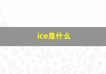 ice是什么