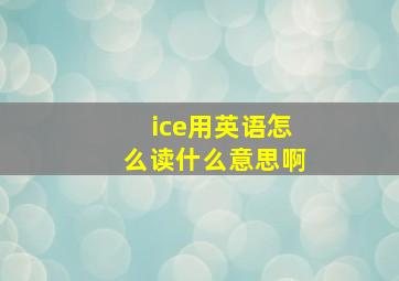 ice用英语怎么读什么意思啊