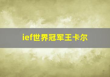 ief世界冠军王卡尔