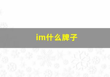 im什么牌子