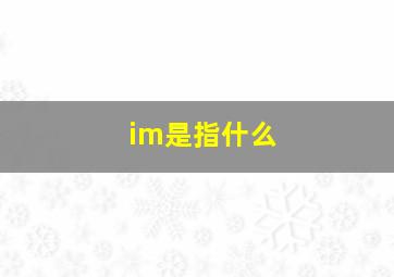 im是指什么