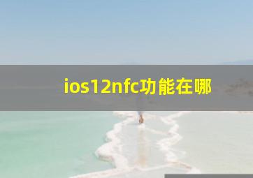 ios12nfc功能在哪