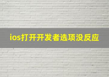 ios打开开发者选项没反应