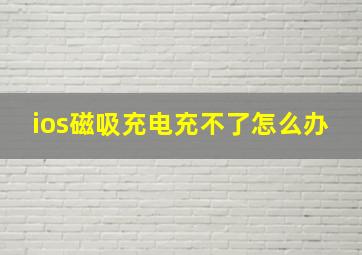 ios磁吸充电充不了怎么办