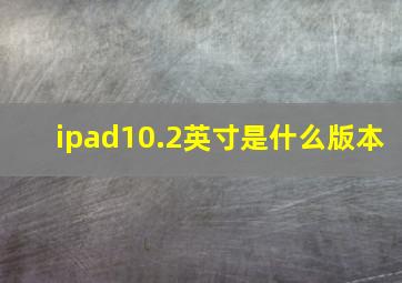 ipad10.2英寸是什么版本