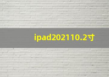 ipad202110.2寸