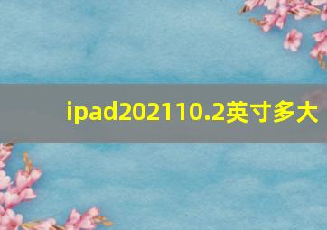 ipad202110.2英寸多大