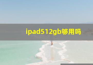 ipad512gb够用吗