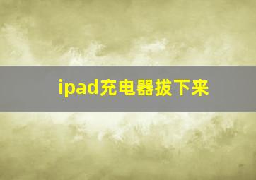 ipad充电器拔下来